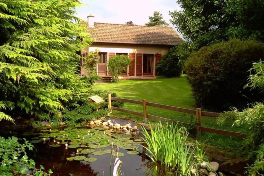 einen Garten mit einem Teich und einem Haus in der Unterkunft Gîte de la P'tite Rainette in Grosne