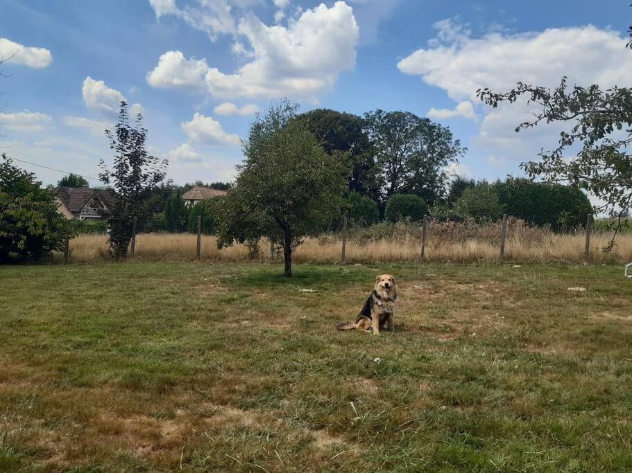 Zdjęcie z galerii obiektu Gîte de la P'tite Rainette w mieście Grosne