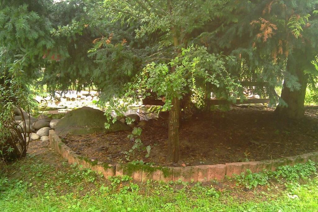 Ogród w obiekcie Gîte de la P'tite Rainette