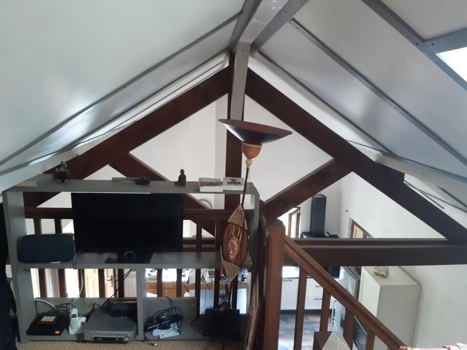 Pokój z sufitem, telewizorem i stołem w obiekcie Gîte de la P'tite Rainette w mieście Grosne