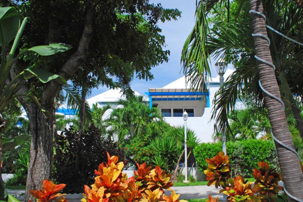 un edificio con palmeras y flores delante de él en Perfect Island Retreat at Paradise Island Beach Club Villas en Creek Village