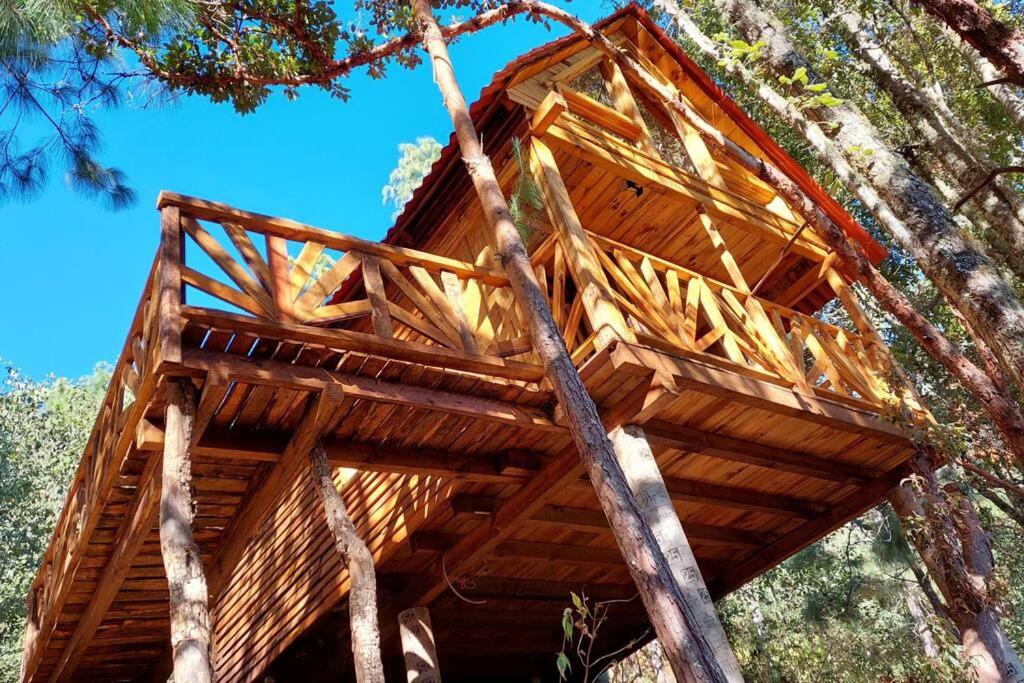 Cabaña en el Bosque de San José del Pacífico 4, San Mateo Río Hondo –  Updated 2023 Prices