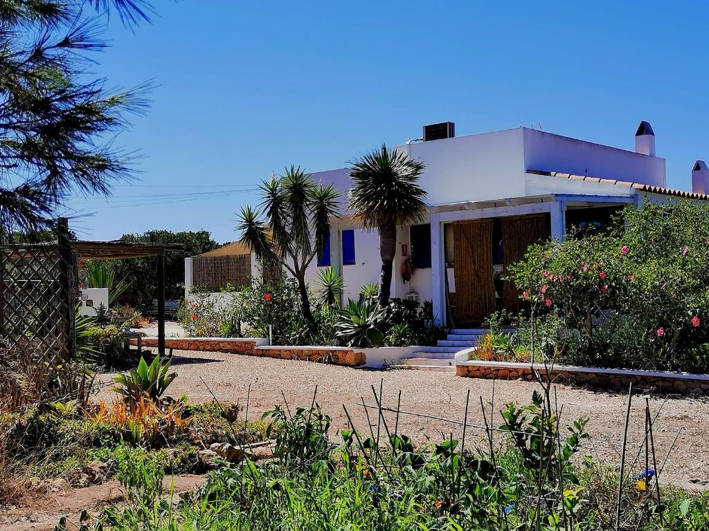 a house with a lot of plants in front of it at Ca n'Antonia Formentera in Sant Francesc Xavier
