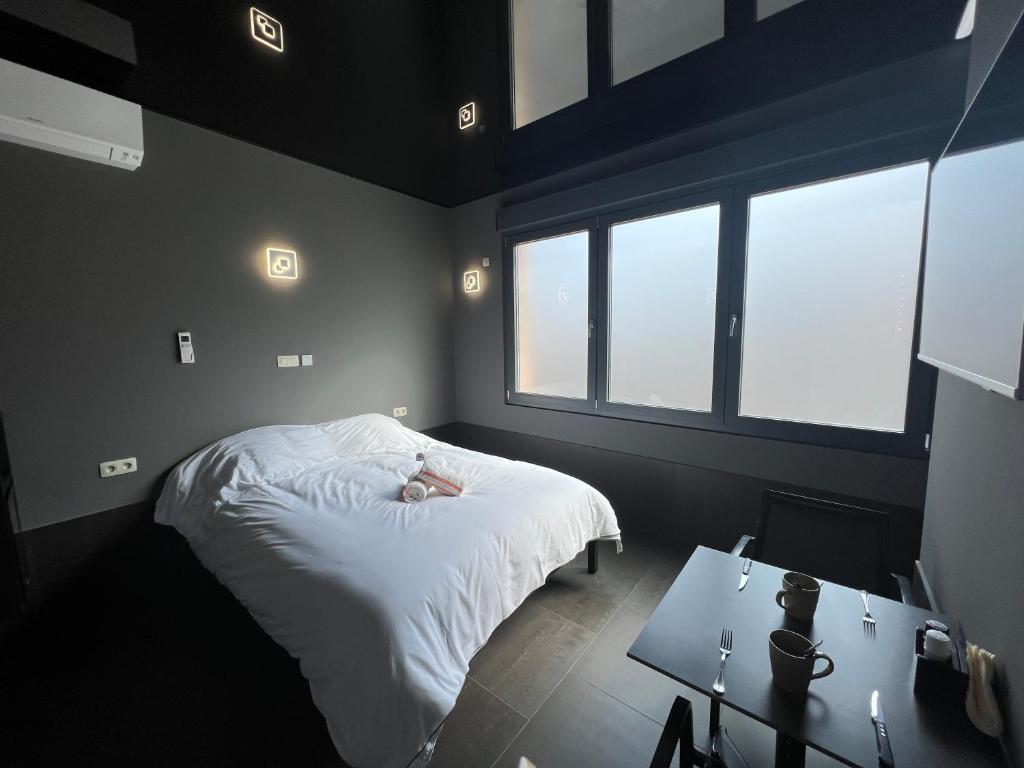 une personne dormant sur un lit dans une pièce avec fenêtres dans l'établissement Logements des choraux, à Tournai