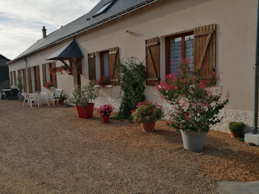uma casa com vasos de plantas em frente em Gîte de la Casse em Channay-sur-Lathan