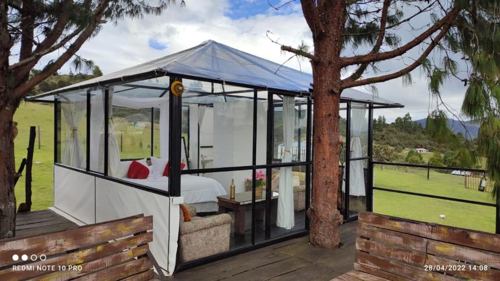 a bedroom in a glass house with a tree at tu glamping s a s in Chocontá