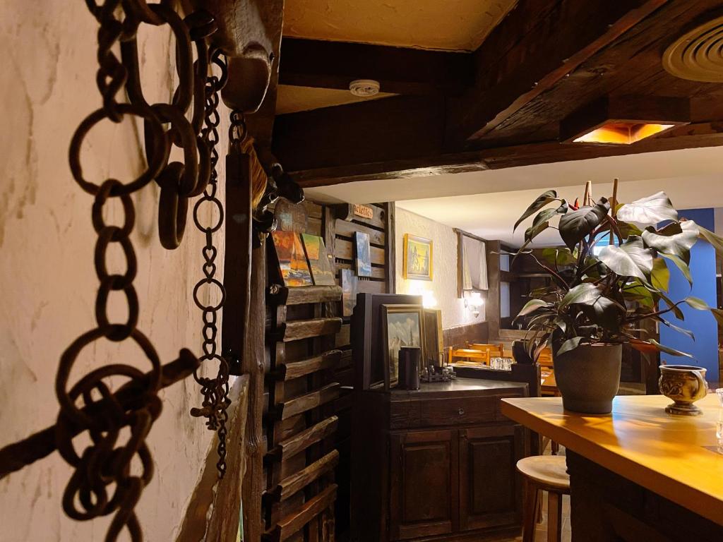 Kuchyň nebo kuchyňský kout v ubytování Hotel Gemmi