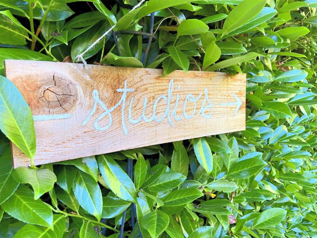 a sign that says suicide is attached to a bush at Wisteria Guest House in Ganges