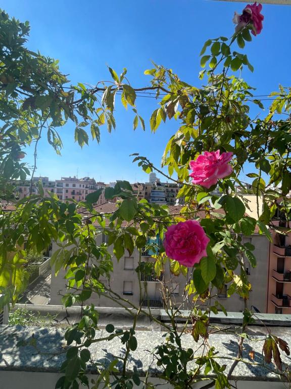 Kép B&B Home Flowers Milano szállásáról Milánóban a galériában