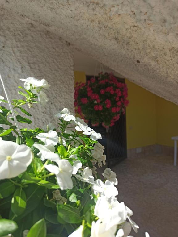 A garden outside La nostra casetta