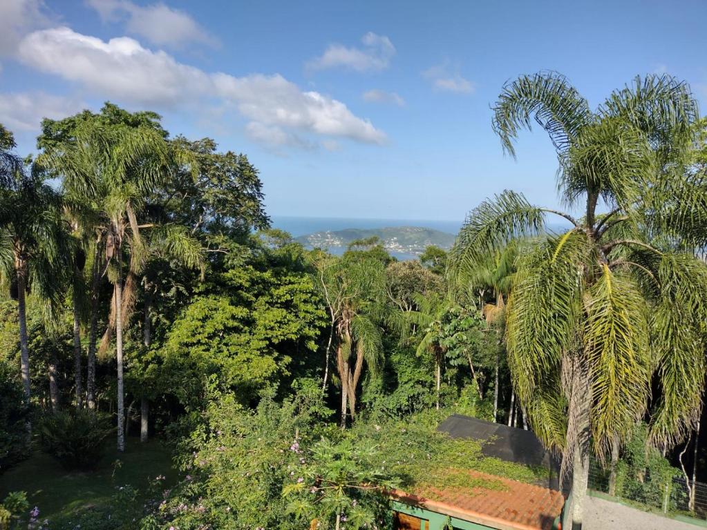 un grupo de palmeras en un bosque en Casa do Mirante quarto 301 en Florianópolis