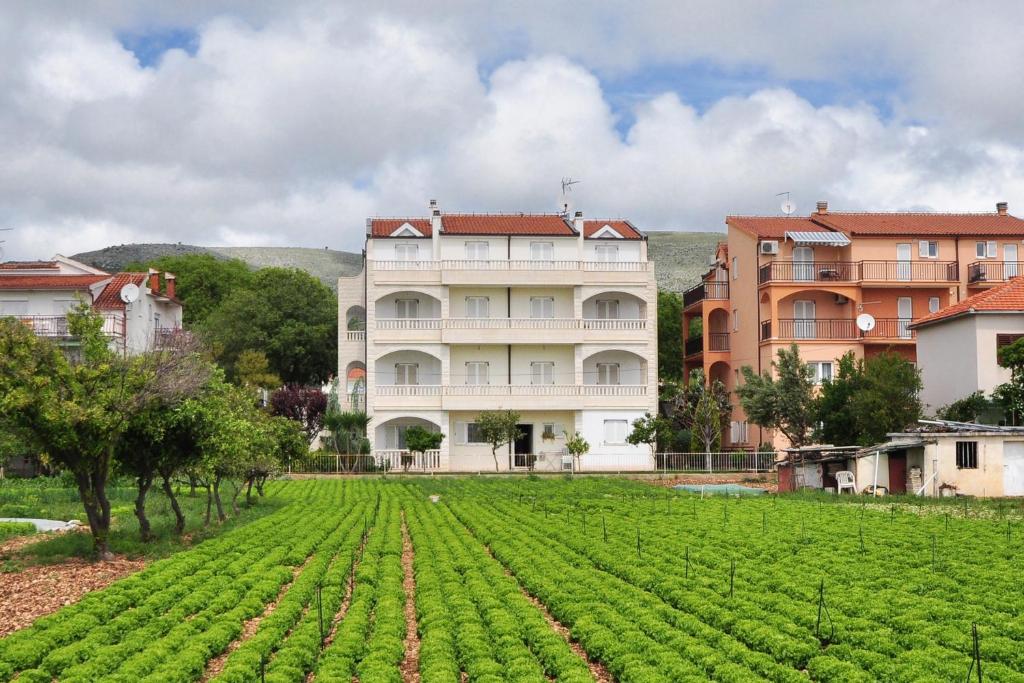 un campo de cultivos frente a un edificio en Apartment Seget Donji 10023a, en Trogir