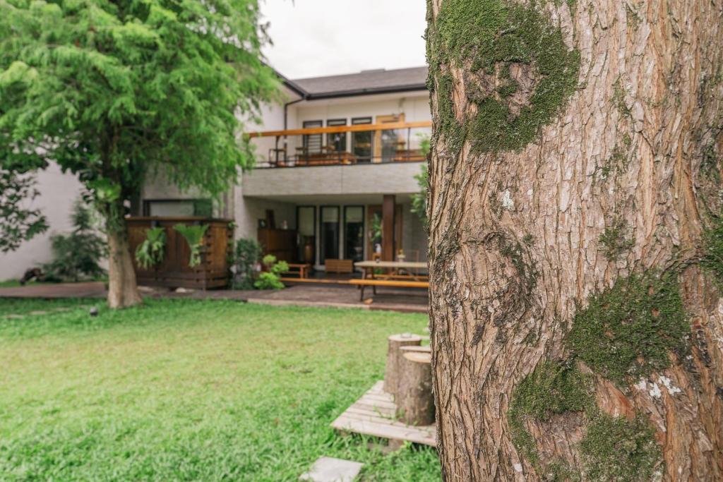 a house with a tree in front of it at 檜木居民宿 - 立案證號 一六三 - 一六八 - 一七零 in Ji&#39;an