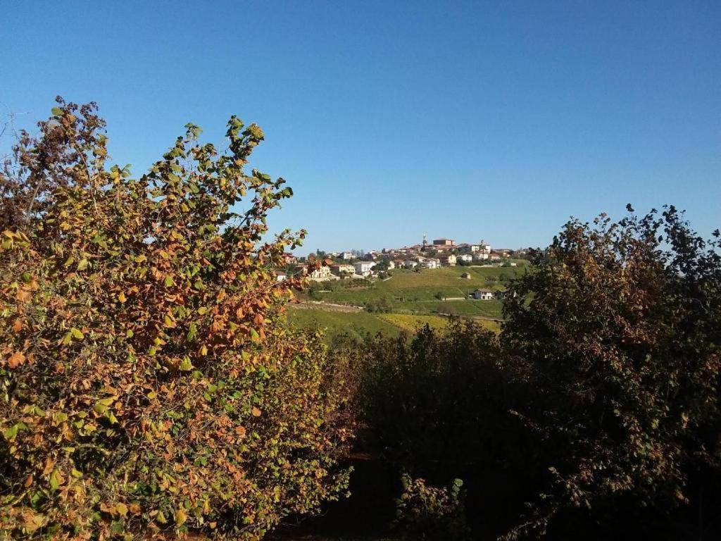 Příroda nedaleko apartmánu