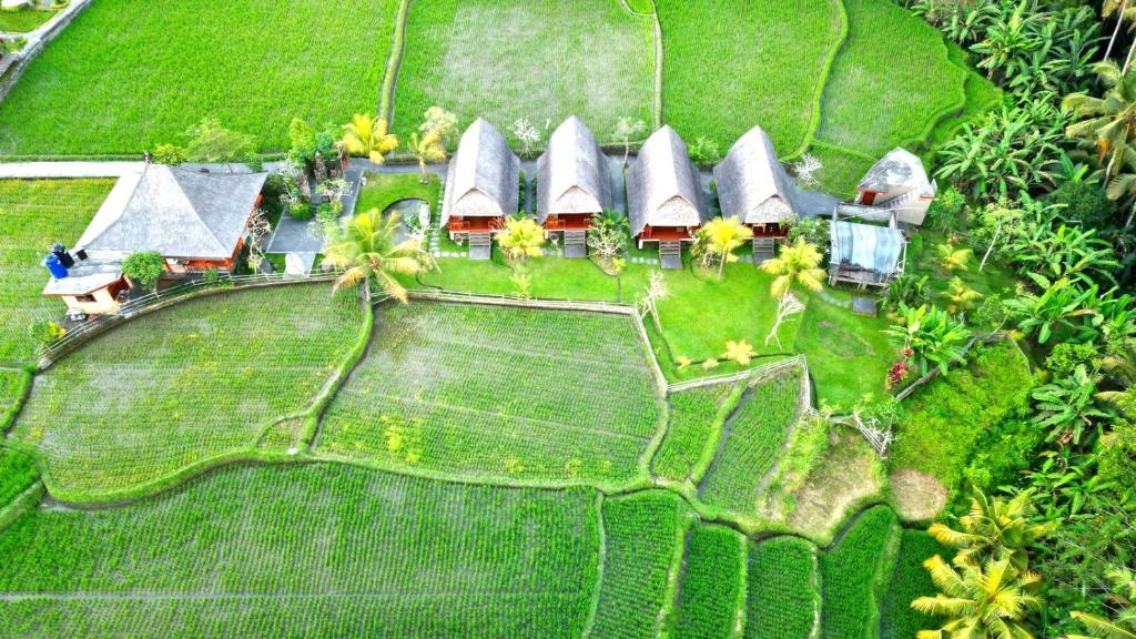 una vista aérea de una casa con jardín en Pondok Gandalangu Ubud-Dikelilingi Hamparan Sawah, en Ubud