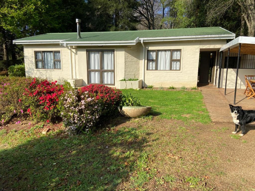 a cat is standing in front of a house at Peartree Cottage in Hogsback