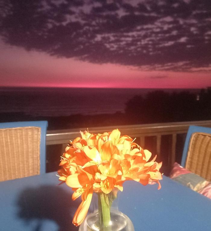 Mussel Beach Holiday Lets, Cape Town (updated prices 2024)