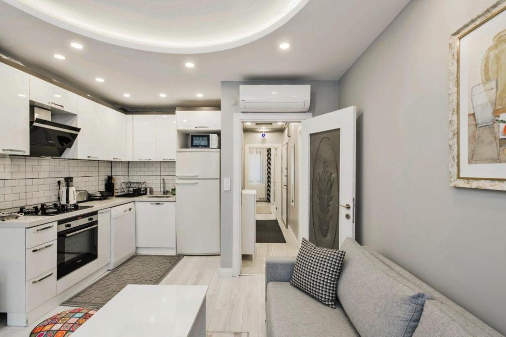 Kuchyň nebo kuchyňský kout v ubytování Taksim Devrim House