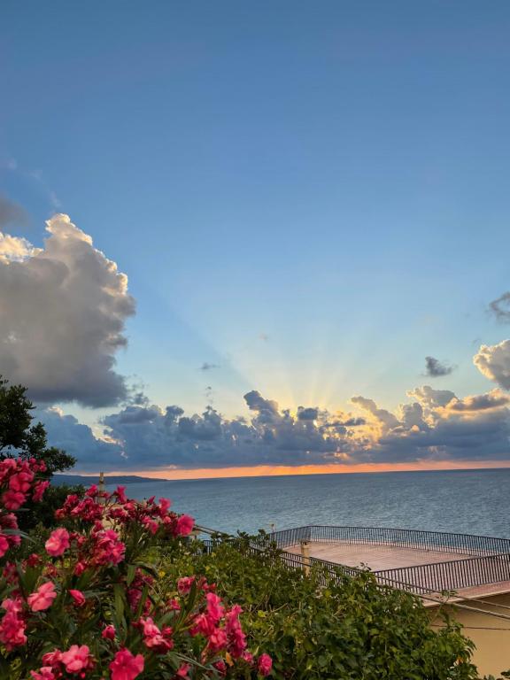 a view of the ocean with pink flowers at Casa vacanze Piedigrotta in Pizzo