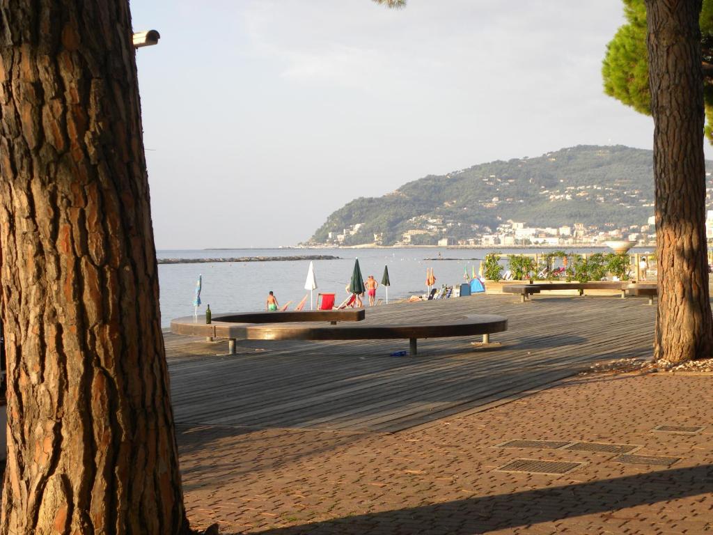 um banco numa praia com vista para a água em Appartamento SanBart Mare em San Bartolomeo al Mare