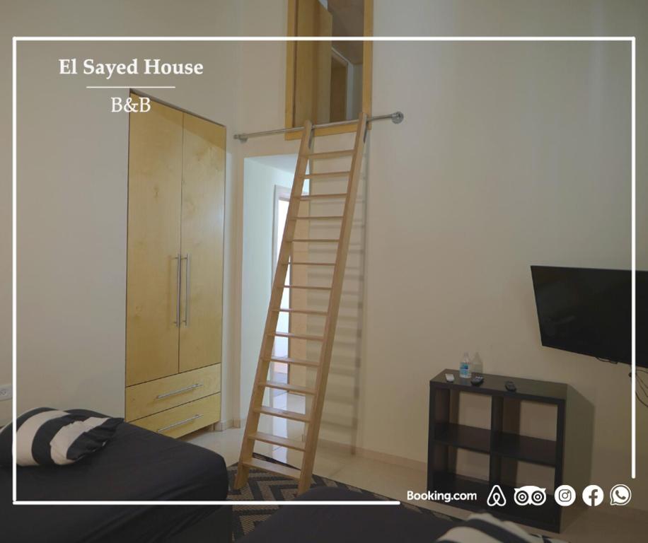 TV a/nebo společenská místnost v ubytování El Sayed House b&b