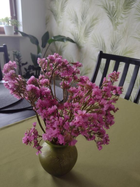 Fotografia z galérie ubytovania Apartament nad Jeziorakiem v destinácii Iława