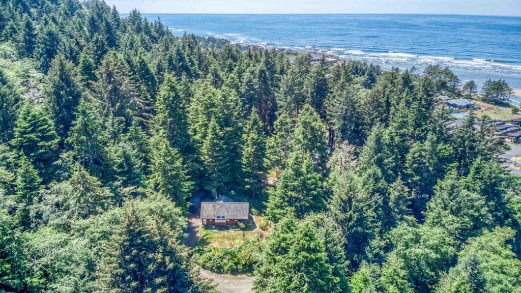 an aerial view of a house on a hill next to the ocean at Guinevere's Cottage in Yachats