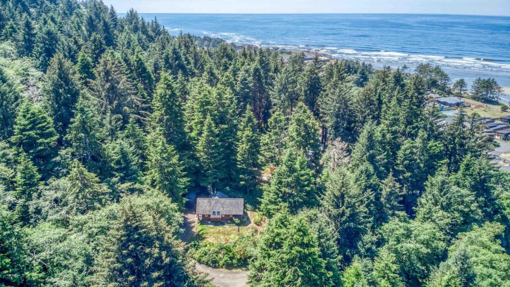una vista aerea di una casa su una collina vicino all'oceano di Guineveres Cottage a Yachats