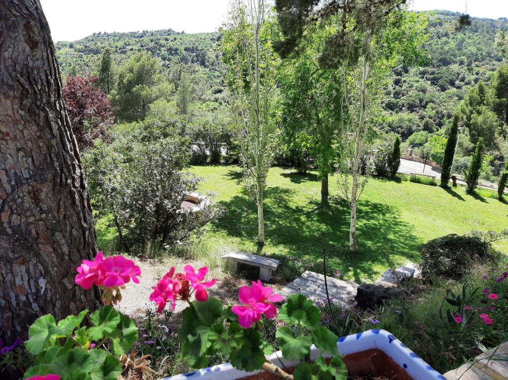 Zahrada ubytování Villa Claudine