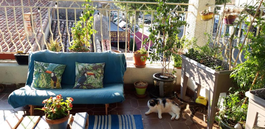 un divano blu seduto su un balcone con 2 cani di Résidence Tivoli a Limoux