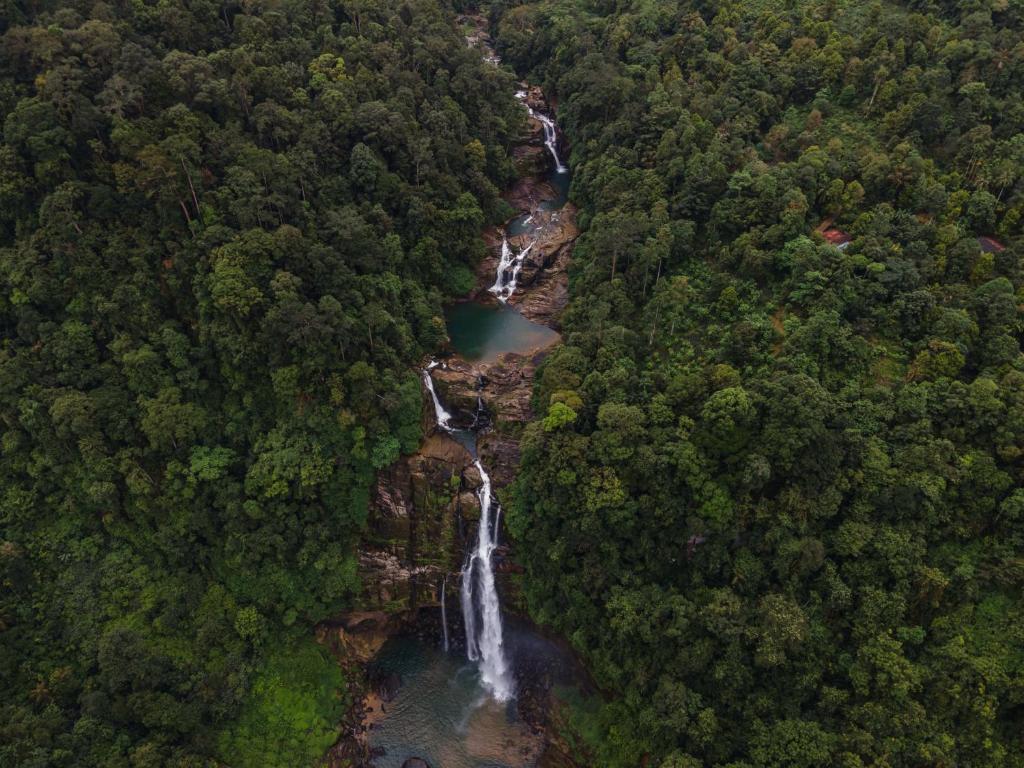 an aerial view of a waterfall in a forest at Arsulana Eco Lodge & Spa in Ginigathena