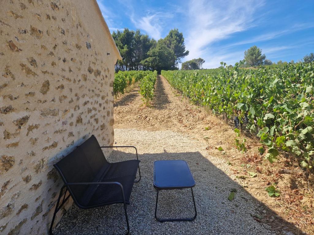 Zahrada ubytování Bastide Bellugue Maison d'hôtes réseau Bienvenue à La Ferme à 3 minutes de Lourmarin