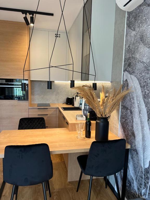 Family & Business Elegant Apartments ul Lotnicza Centrum Galeria Korona - 1 Bedroom, Terrace, Air Conditioning, Garage - NEW! - Apartamento Superior