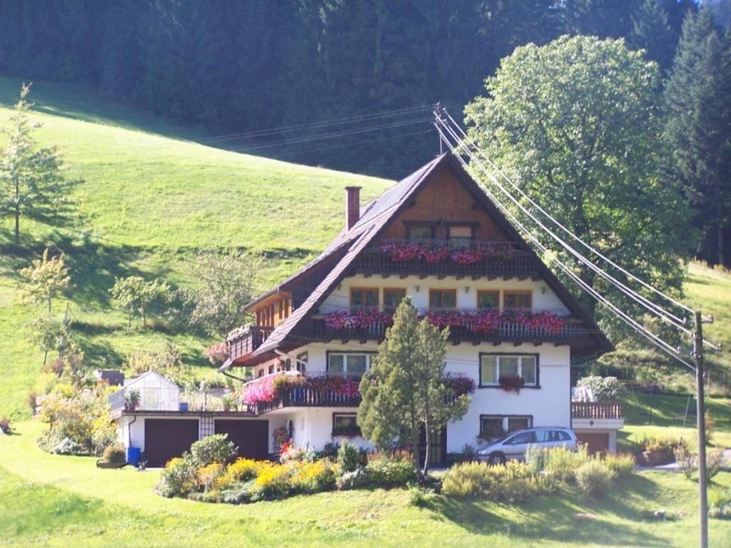 a house on a hill with flowers in front at Gästehaus Schoch in Bad Rippoldsau-Schapbach