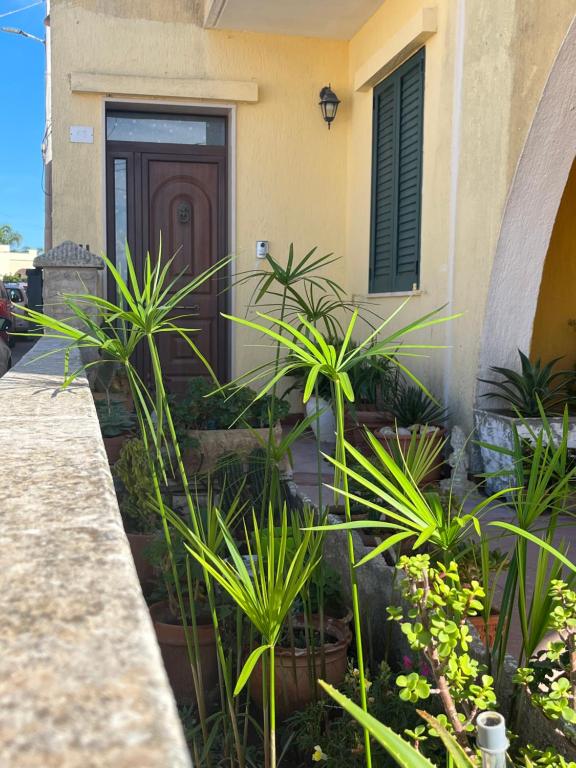 una casa con plantas delante de una puerta en Monte Cuccu Bed & Breakfast en Cerfignano