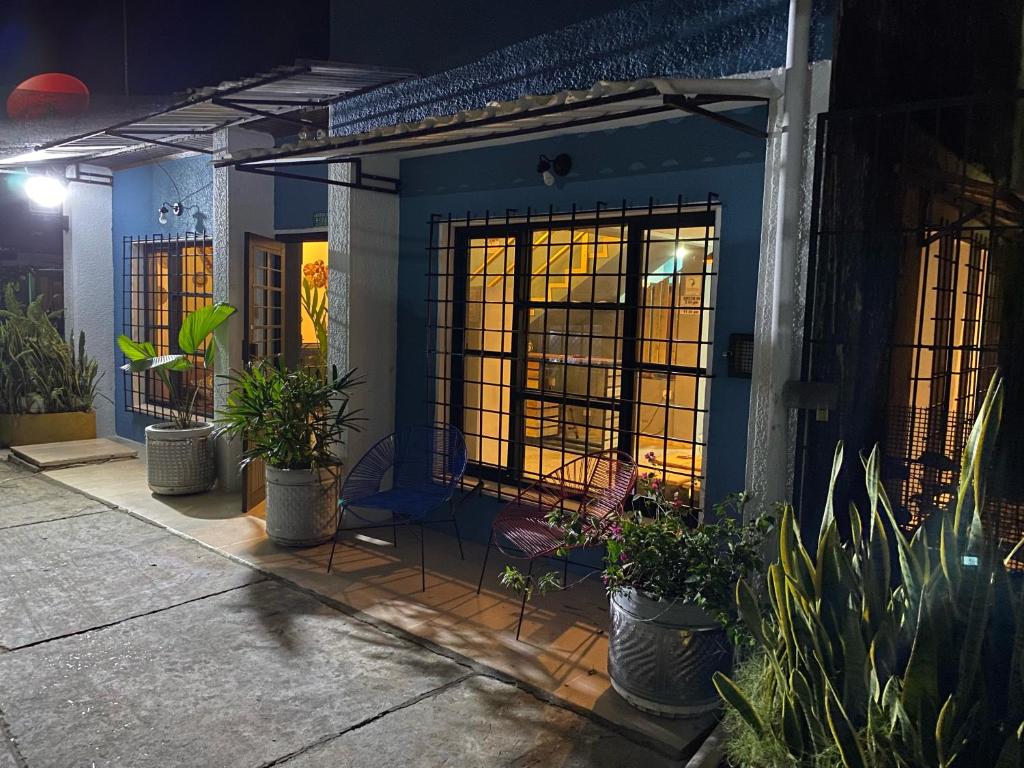 Tambo Hostel في ليتيسيا: منزل به كراسي ونباتات على فناء في الليل