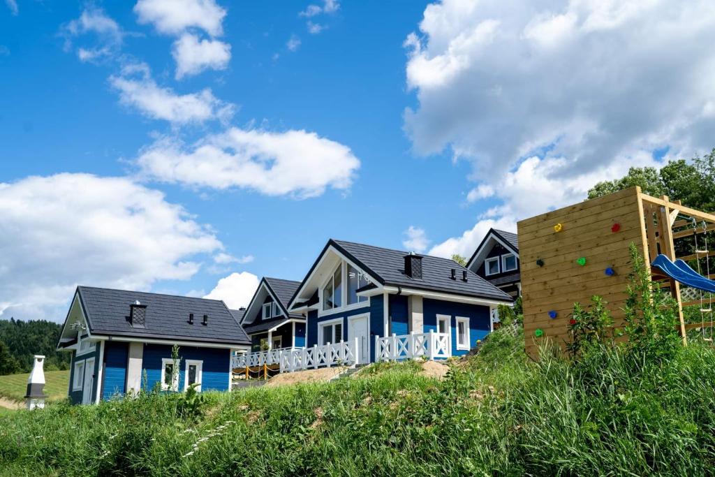 a row of houses on a hill with a playground at Dolina Białego Wilka - Niebieskie Domki in Zawóz