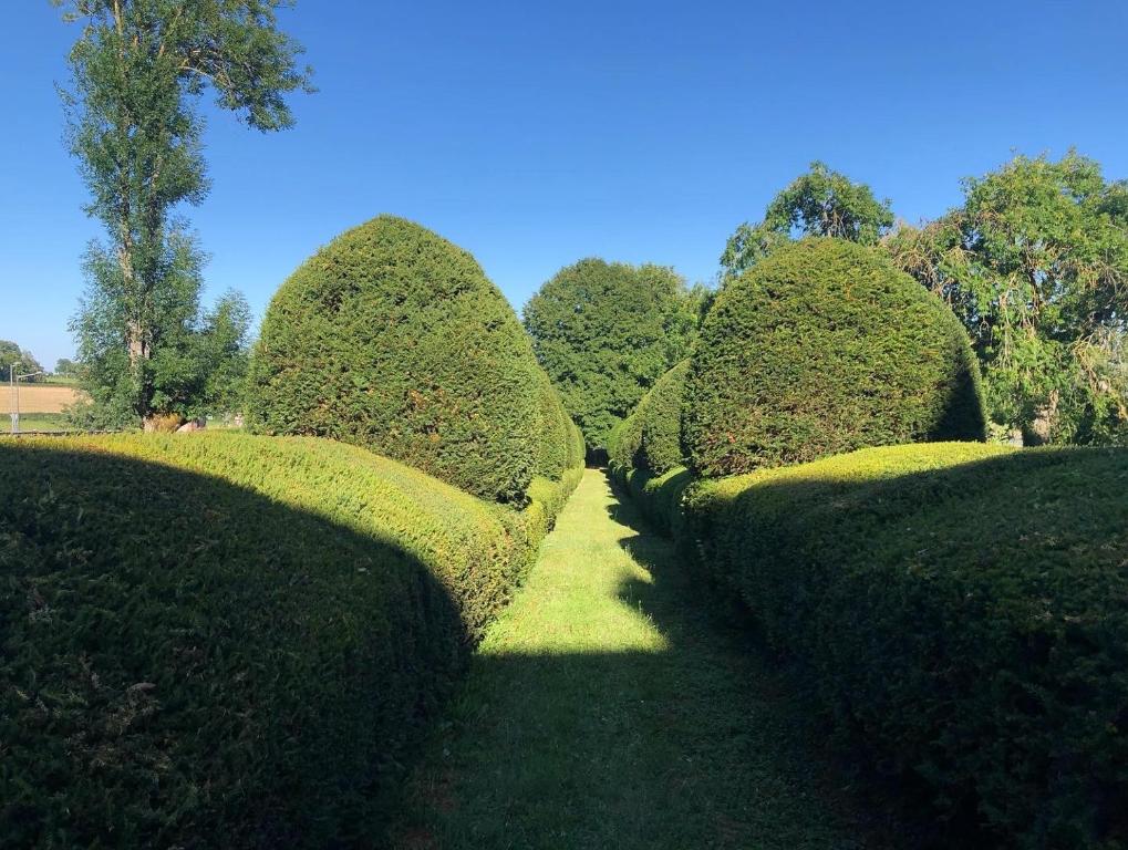 Fotografia z galérie ubytovania Château de Bruges v destinácii Lapeyrouse