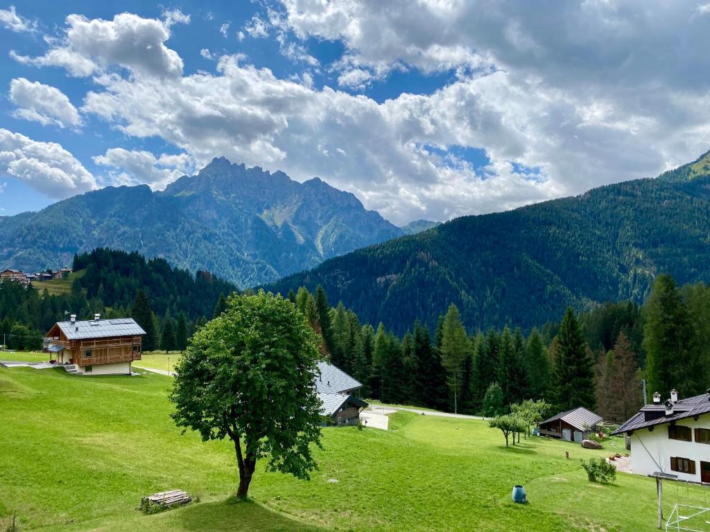 a tree in a field with mountains in the background at Casa Scardanzan in Canale dʼAgordo