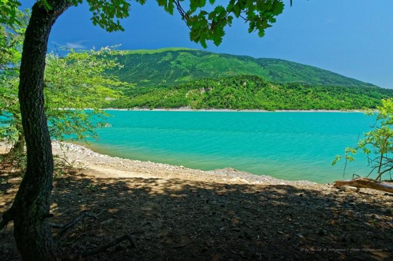 a view of a body of water with a tree at Gîte proche des passerelles et du lac de Monteynard 