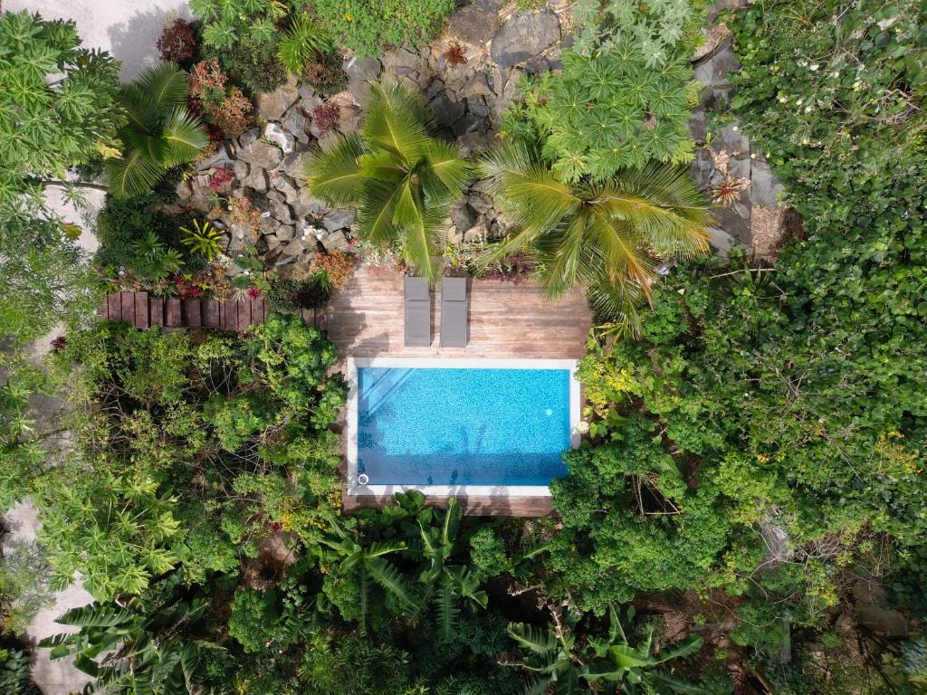 an overhead view of a swimming pool in a forest at Rainbow Villas in Rarotonga