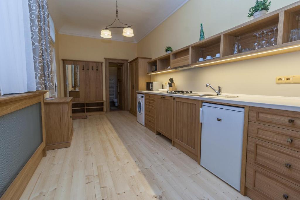 Karlova 25 Apartments - Standard One-Bedroom Apartment
