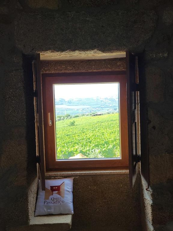 Quinta do Passadiço - Casa De Cinco Dormitorios