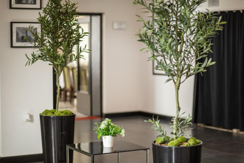 Fotografie z fotogalerie ubytování Hotel Srem v destinaci Sremska Mitrovica