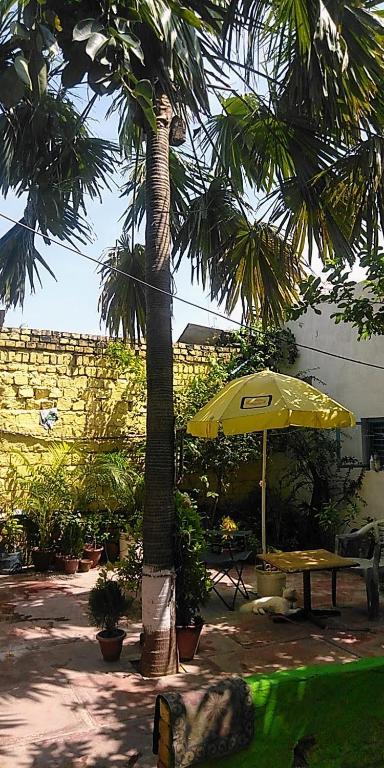 Κήπος έξω από το Zigzag Homestay