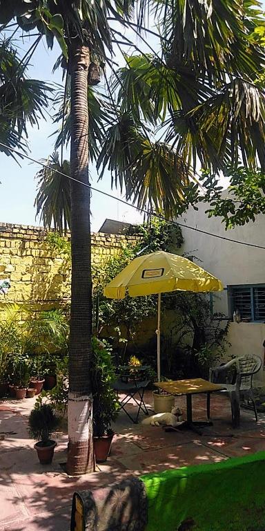 Κήπος έξω από το Zigzag Homestay