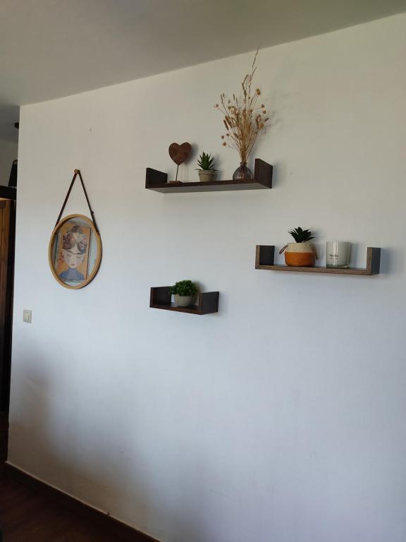 biała ściana z półkami z roślinami w obiekcie La Castaña y la Uva 