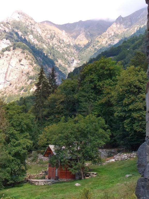 Paesaggio naturale nelle vicinanze dello chalet