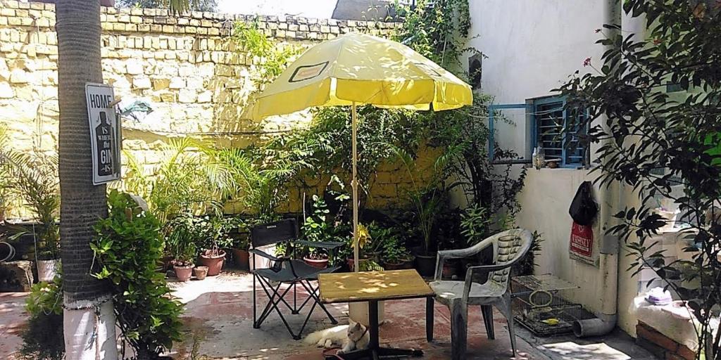 Κήπος έξω από το Zigzag Homestay