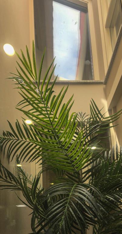 Rua Grande Hotel - Resim 28